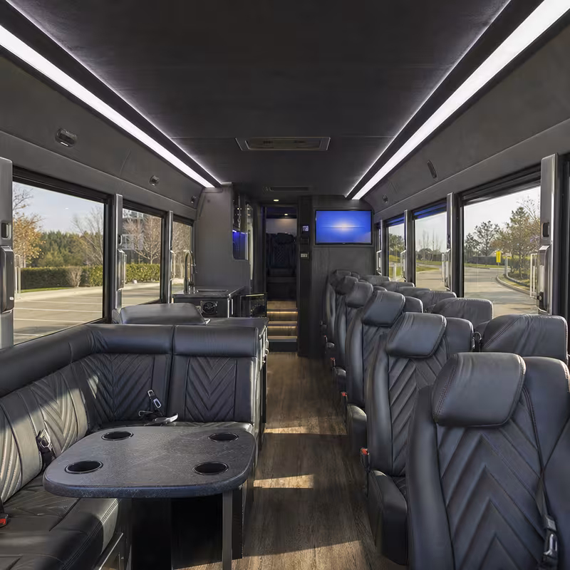 Passenger watching the Memphis scenery during a regional party bus road trip